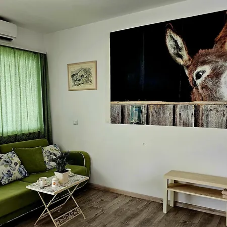 With A Magical View Апартаменты *