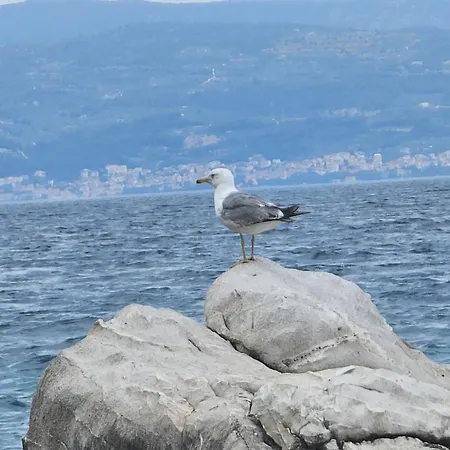 With A Magical View Апартаменти