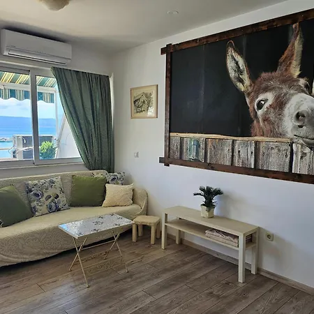 Appartamento With A Magical View